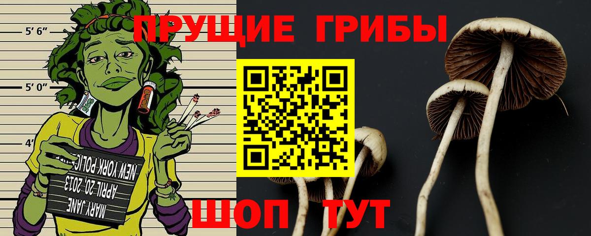 Отрадный  Галлюциногенные грибы Magic Shrooms  Вход с VPN 
